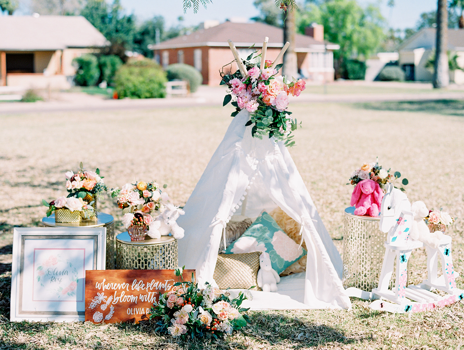 One Year Old Birthday Party Play Tent 